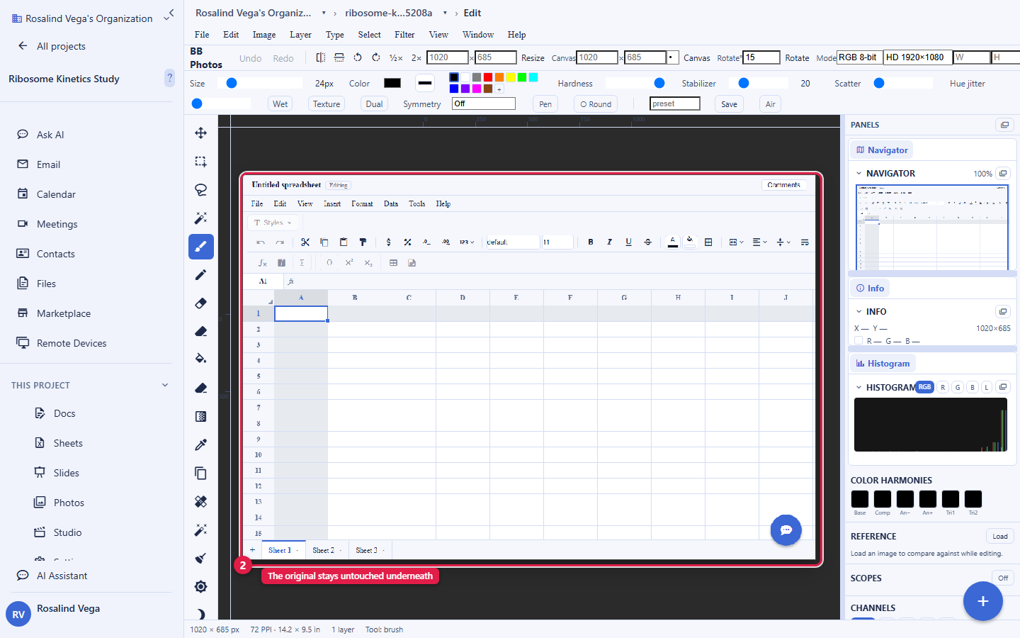 The Backbuild Photos editor open on an image. A vertical tool rail on the left holds move, selection, brush, clone, gradient and other tools. The top bar has Undo, Redo, Resize, Canvas, Rotate and colour-mode controls. A panels column on the right shows Navigator, Info, a live Histogram, Colour Harmonies, a Reference loader, Scopes and Channels. The status bar reads one layer, and the canvas is labelled The original stays untouched underneath. The account email address is masked in this image.