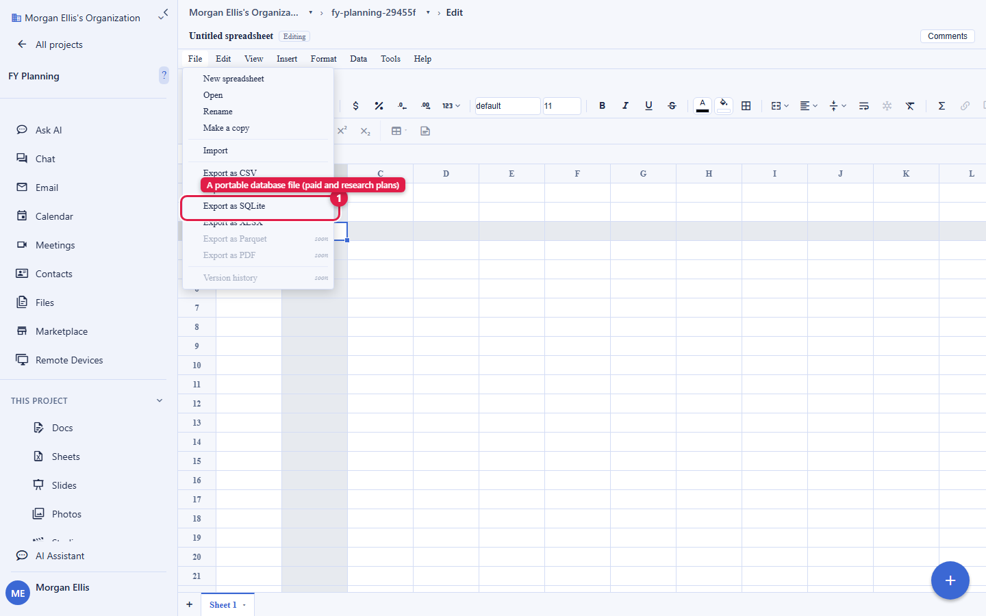 The Backbuild Sheets File menu open, listing New spreadsheet, Open, Rename, Make a copy, Import, and the export options. Export as CSV, Export as SQLite, and Export as XLSX are available, with Export as SQLite circled and labelled A portable database file, on the paid and research plans. Export as Parquet, Export as PDF, and Version history are greyed out as coming soon. The account email address is masked in this image.